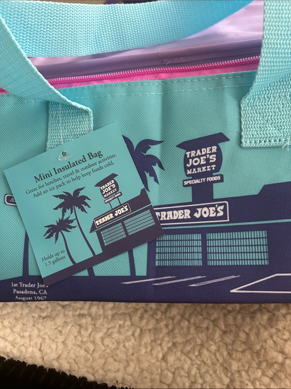 Trader Joe's Teal & Navy Mini Insulated Bag